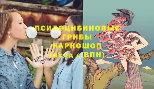 ПСИЛОЦИБИНОВЫЕ ГРИБЫ Балахна