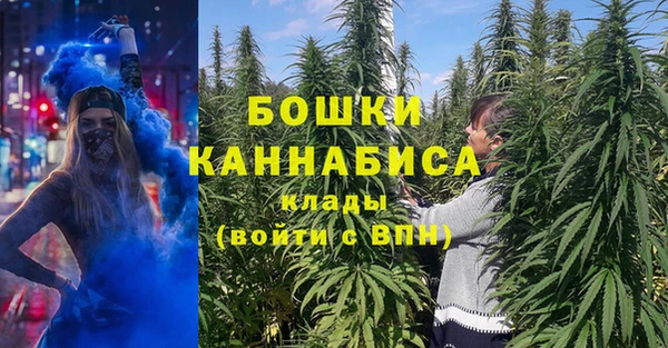 ПСИЛОЦИБИНОВЫЕ ГРИБЫ Балахна