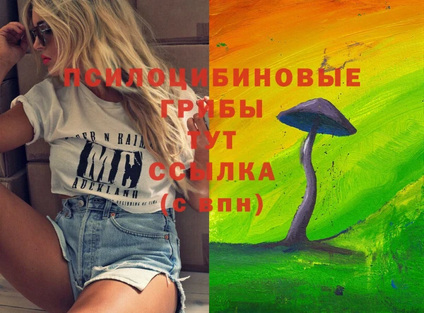 ECSTASY Баксан