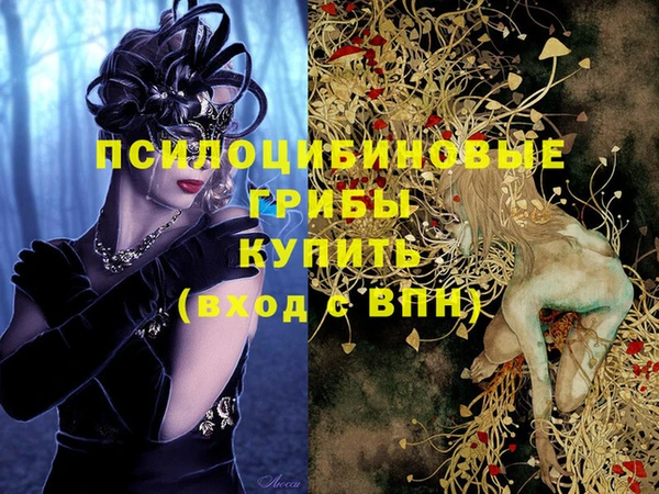 ECSTASY Баксан